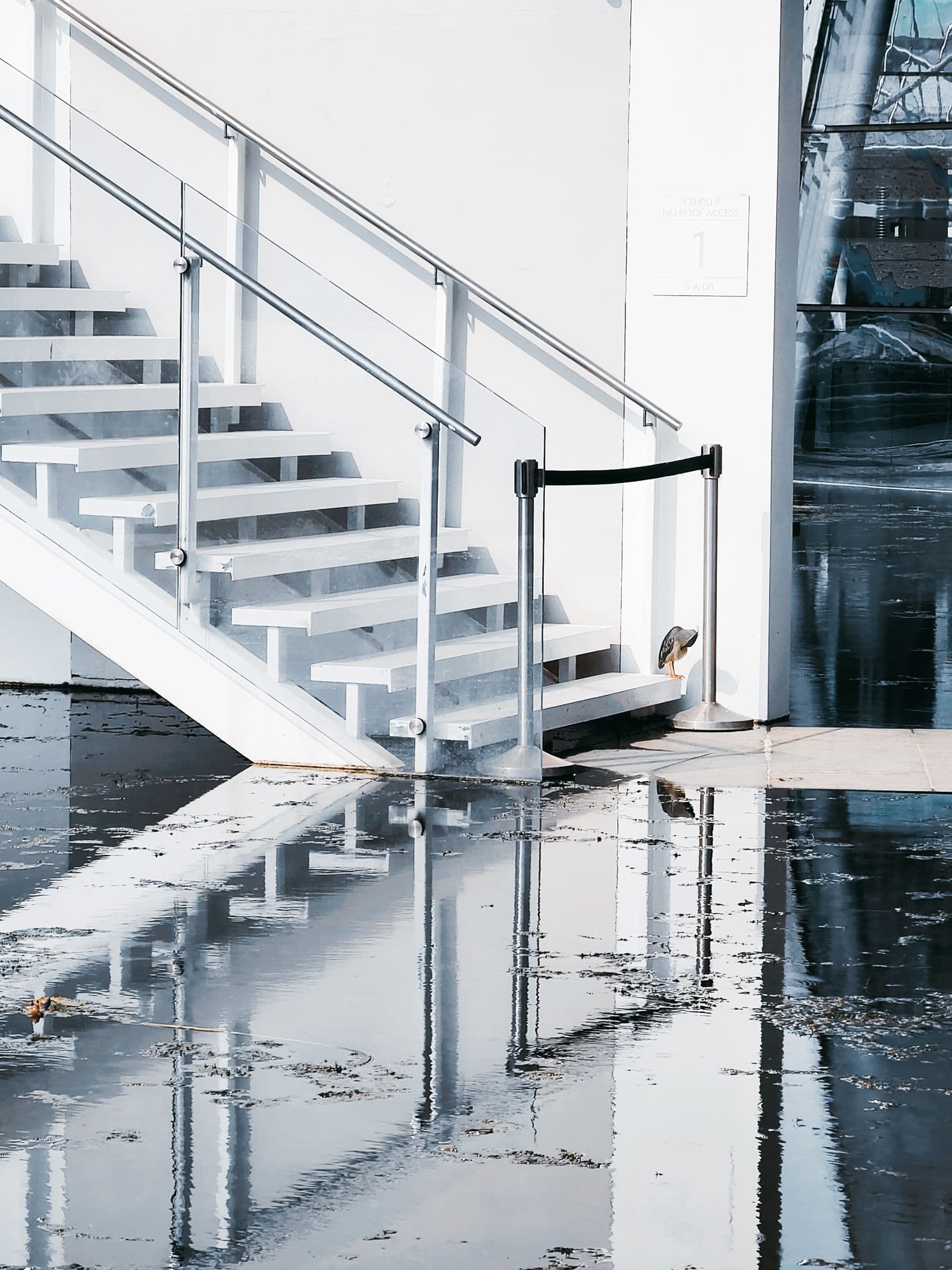 Escalier et sol inondés après un dégât des eaux