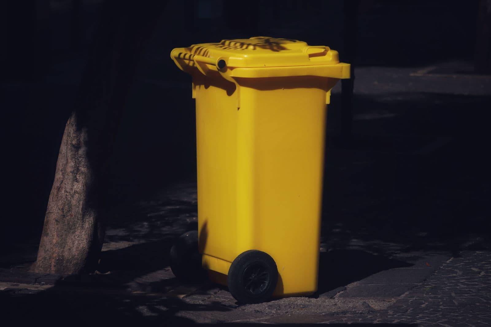 Conteneur à déchets sorti pour la collecte