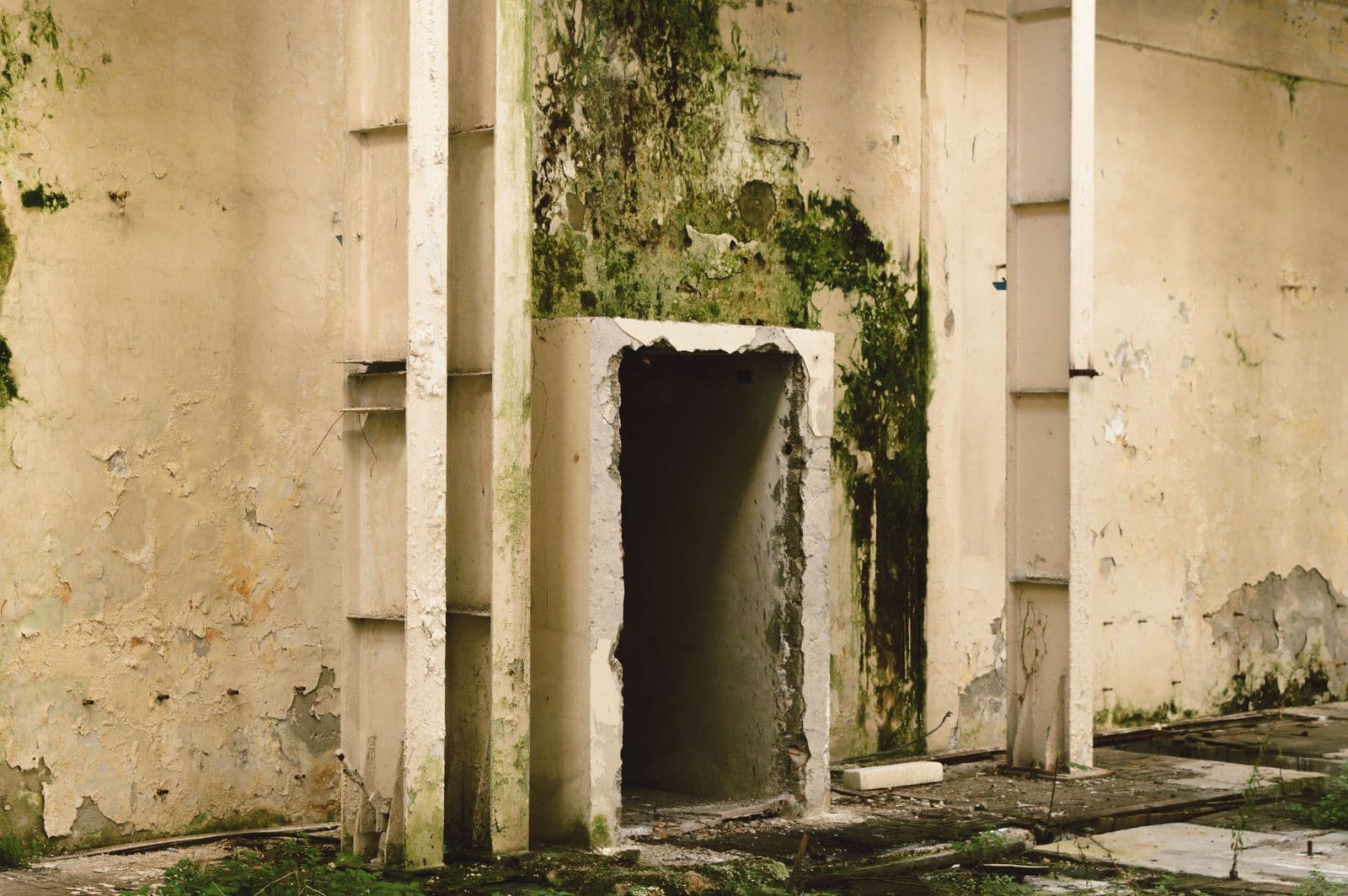Mur intérieur attaqué par l'humidité et les moisissures